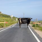 便捷导航网站推荐:最佳在线视频剪辑器使用指南 i6irajeryp