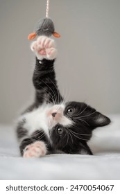 如何在Firestick上下载最佳IPTV应用程序