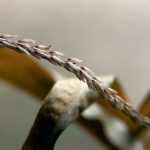 吃瓜有料公众号:带你深入了解热点新闻背后的真相 j77zl7ya