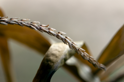 吃瓜有料公众号：带你深入了解热点新闻背后的真相