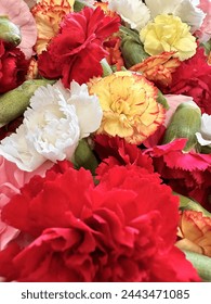 影视大全在线观看免费观看官方：畅享海量影视资源，尽在掌握之中！