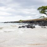 哔咔避难站:探索二次元世界的安全港湾与乐趣所在 p7on040d