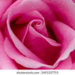 卡牌游戏引擎:打造独特游戏体验的核心技术解析 qbgug