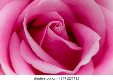 卡牌游戏引擎：打造独特游戏体验的核心技术解析