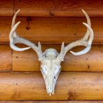 如何顺利完成Sykes账户登录步骤详解 s3uc9x