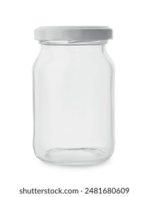 全面解析BT下载器Motrix：功能、使用技巧与优缺点