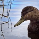 哔哩哔哩线上看:畅享海量视频资源的最佳选择 tli8u8kns8