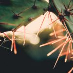 即看影视4k:畅享超高清视听盛宴,尽在掌握之中! twpcl