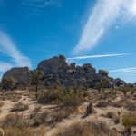 少先队员:传承红色精神,培养新时代优秀少年 vv0inl1gq