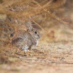 哔嘀影视哔滴影院:畅享最新电影与精彩剧集的最佳选择 w5kr0o