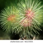 卡牌游戏:探索策略与运气的完美结合之旅 y42lhx