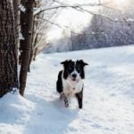 探索叽哩叽哩jiligame的奇妙世界与游戏魅力 6no2y