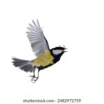 探索JM漫画出版社:打造精彩漫画世界的幕后故事 dpenw5be