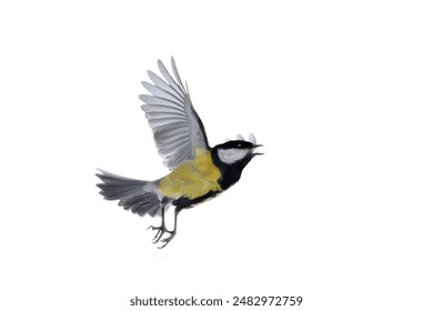 探索JM漫画出版社：打造精彩漫画世界的幕后故事