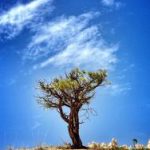 探索漫画在日本文化中的独特地位与影响 j4o69