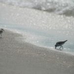 探索网址导航永久地址灯塔的便捷与实用性 m3k86fj