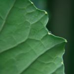 探索最佳高清图片网站,获取高质量视觉素材 phnc89ef3f