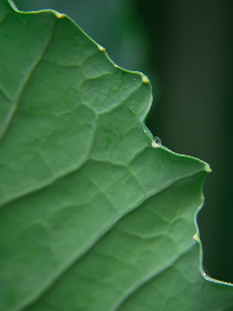 探索最佳高清图片网站，获取高质量视觉素材