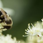 探索网址导航永久地址传送门的便捷与实用性 s4uf5qow