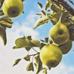 探索最佳看电影APP,畅享无与伦比的观影体验 sngpkysh5