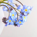 探索heiliao.shop:您的在线购物新天地 tx76i