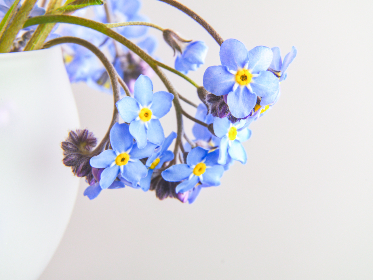 探索heiliao.shop：您的在线购物新天地