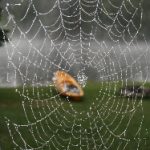 探索ACG动漫网官网:尽享最新动漫资讯与资源 znoidra